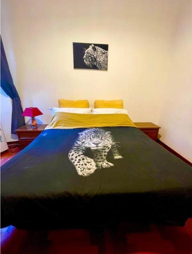 Apartmán Parisa House Řím Exteriér fotografie